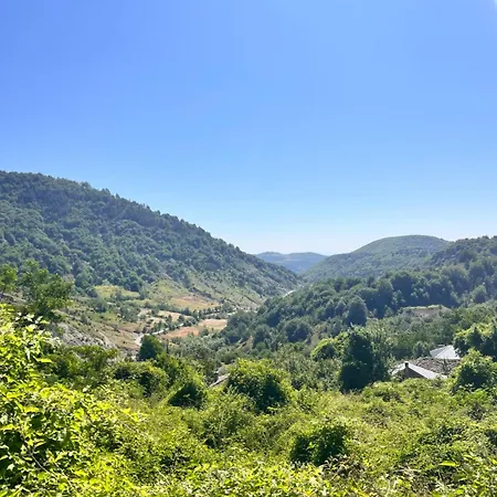 Kocibelli فيلة